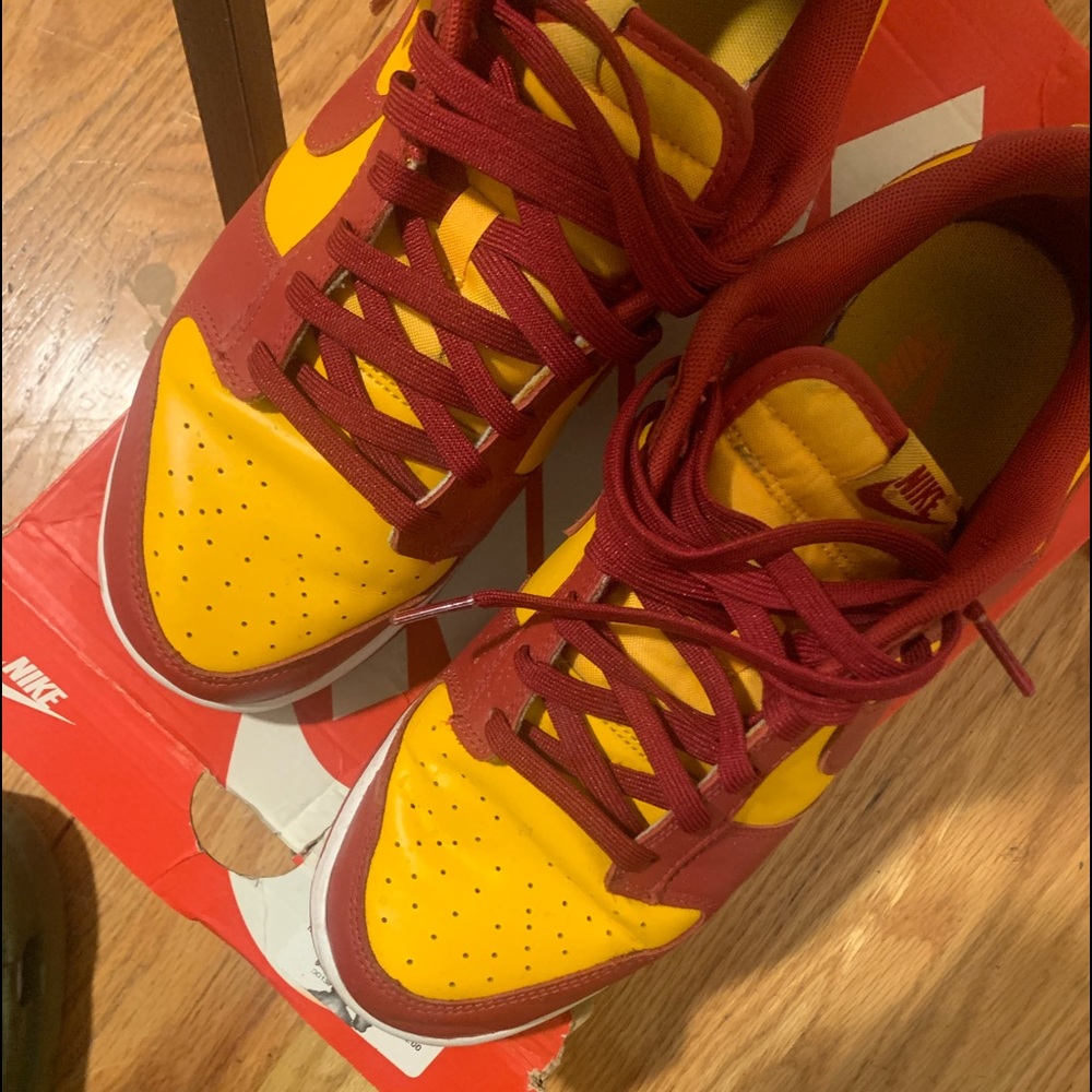 Used men Nike dunks